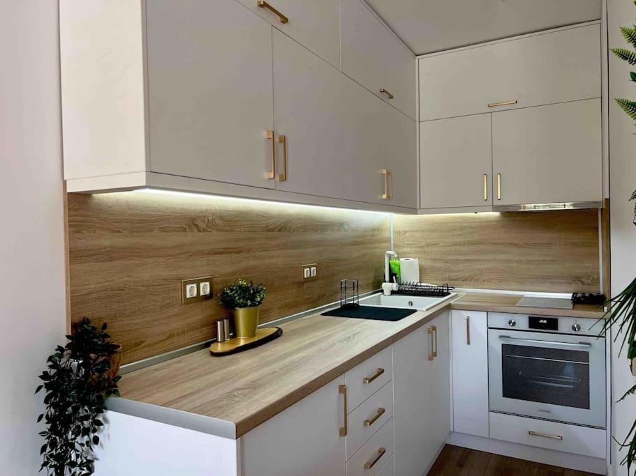 Cosy Appartement Green Life 반스코 외부 사진
