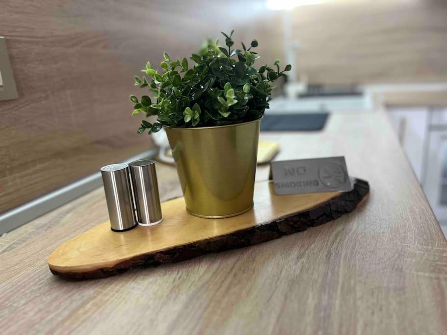 Cosy Appartement Green Life 반스코 외부 사진
