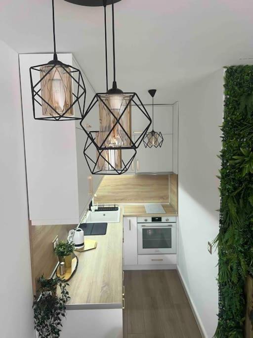 Cosy Appartement Green Life 반스코 외부 사진